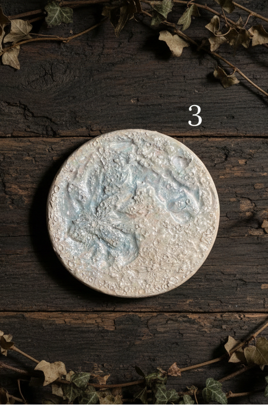 Luna della Neve 2026 – III