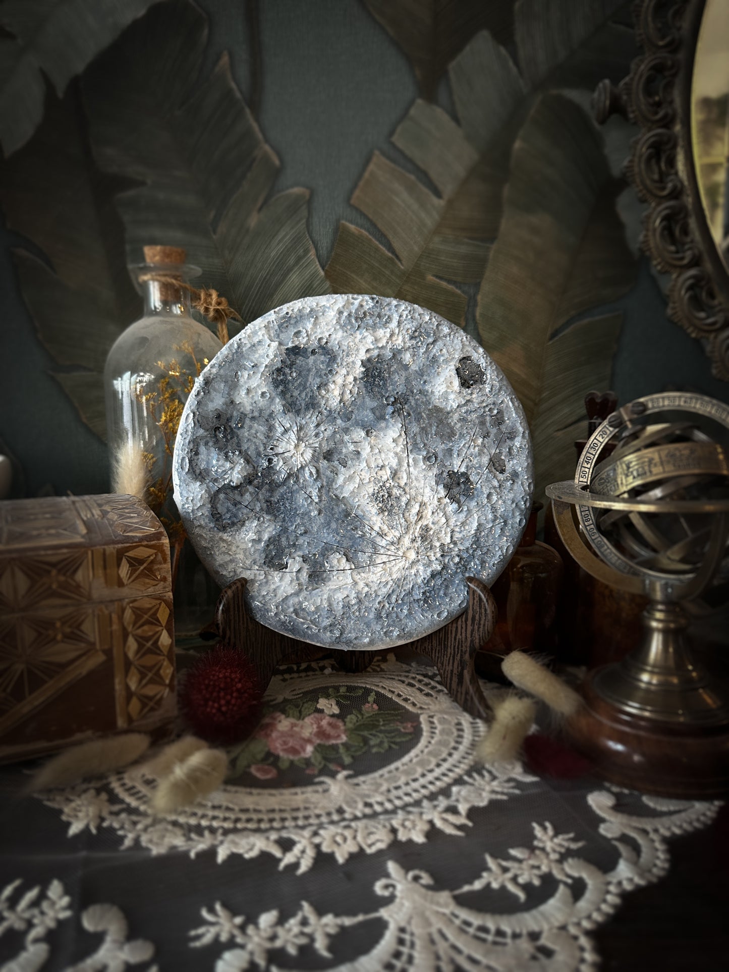 Luna Blu 2026 | IV Media