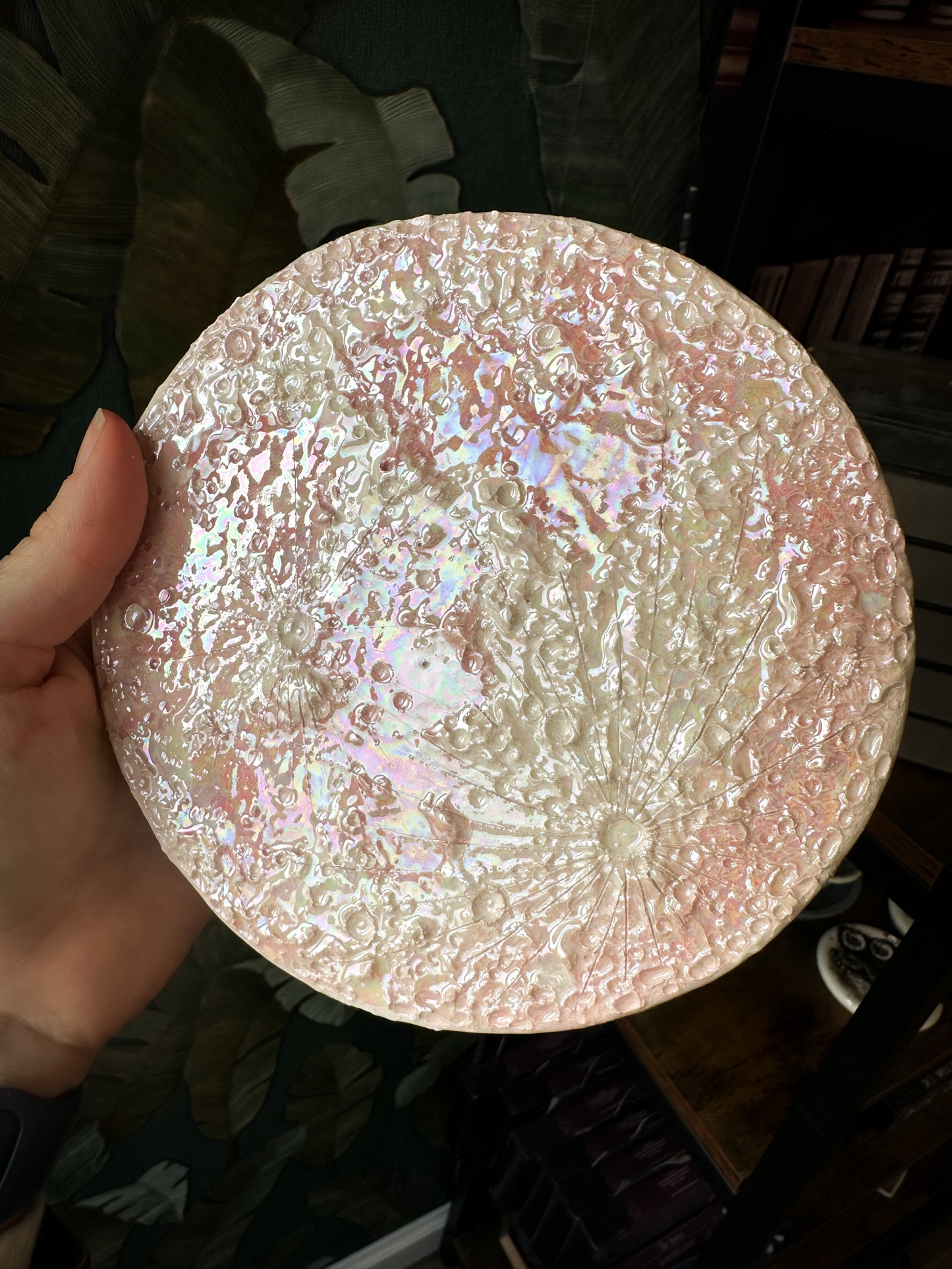 Luna Rosa 2026 – I