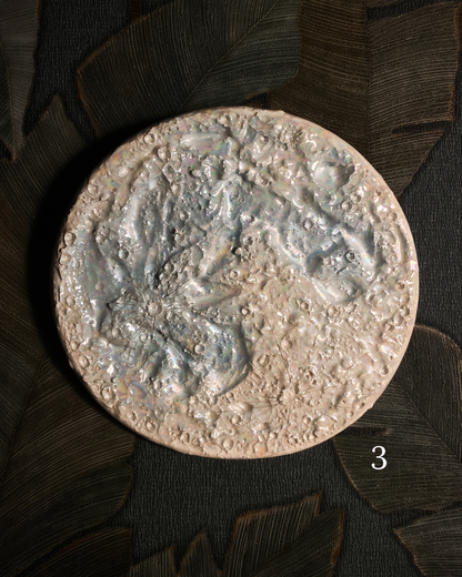 Luna della Neve 2026 – III