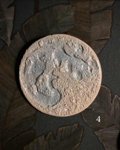 Luna della Neve 2026 – IV