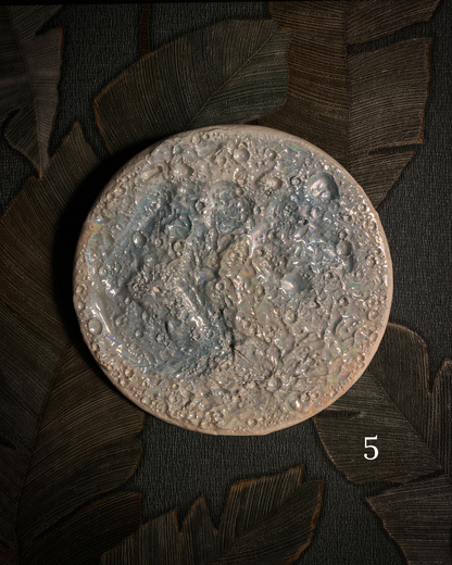 Luna della Neve 2026 – V