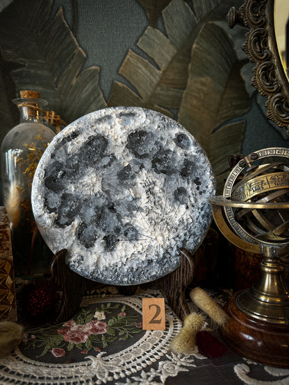 Luna Blu 2026 | II Media