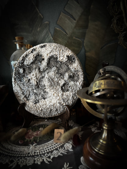 Luna Classica – Media