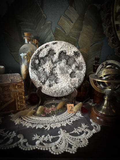 Luna Classica – Media