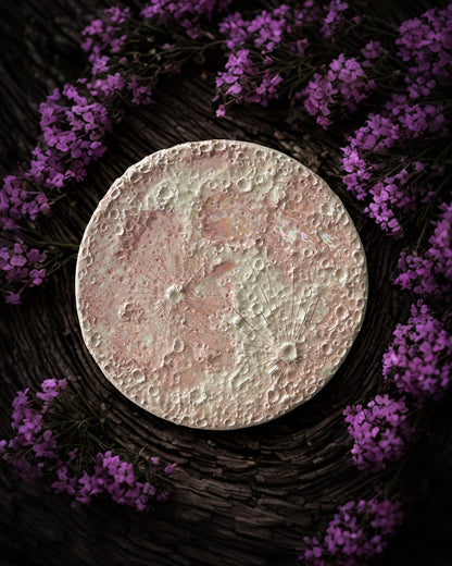 Luna Rosa 2026 – II
