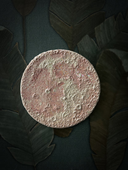 Luna Rosa 2026 – II