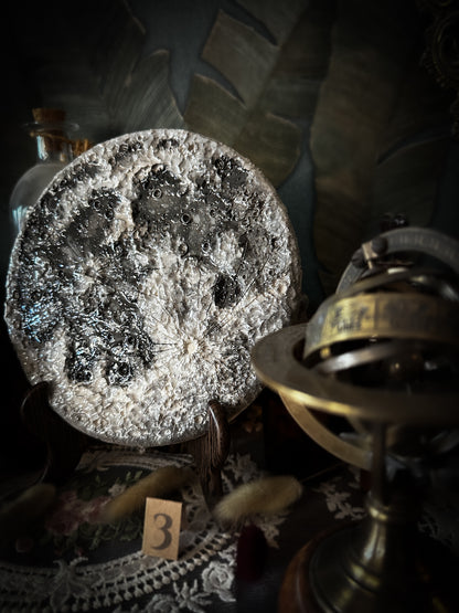 Luna Classica – Media