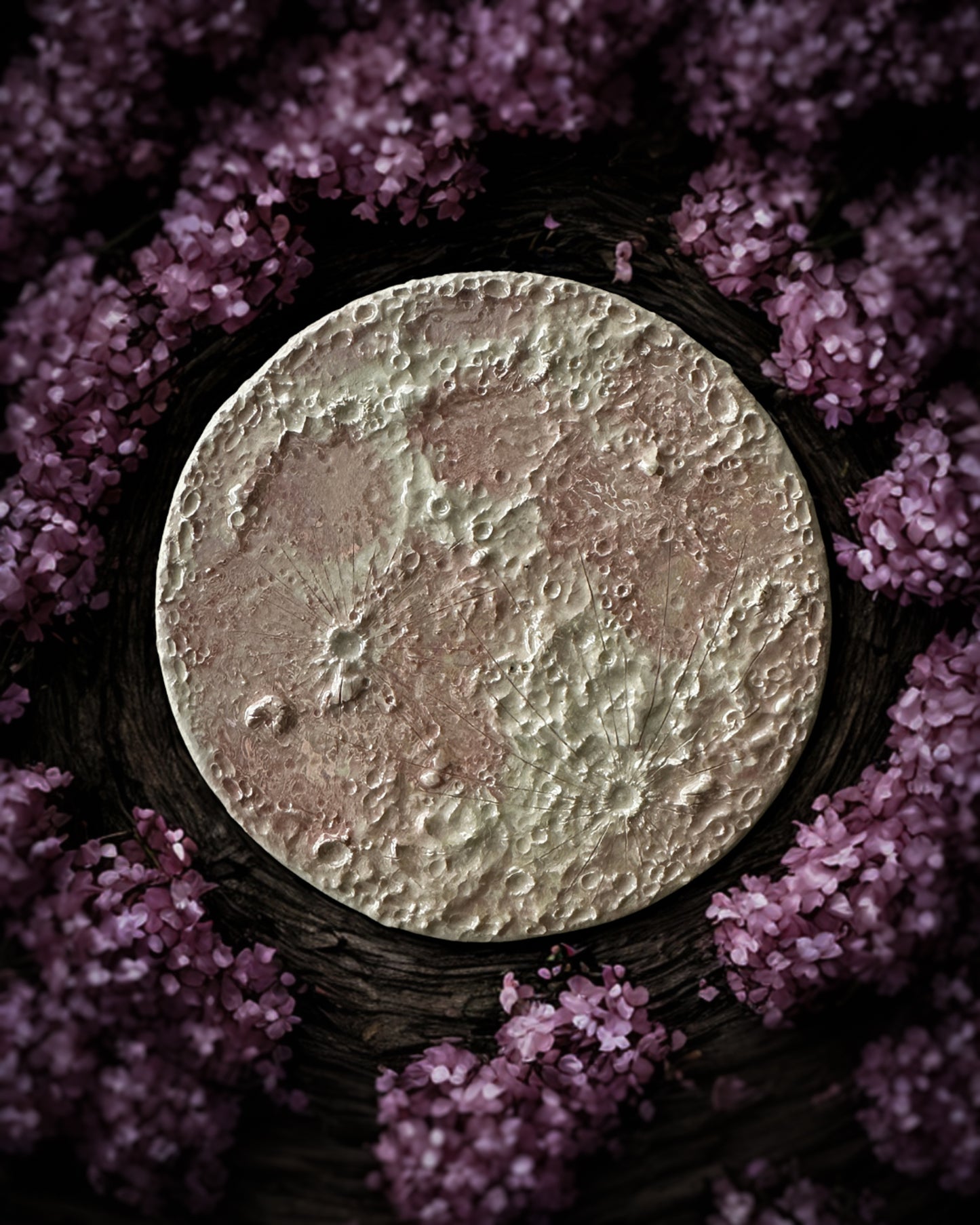Luna Rosa 2026 – III