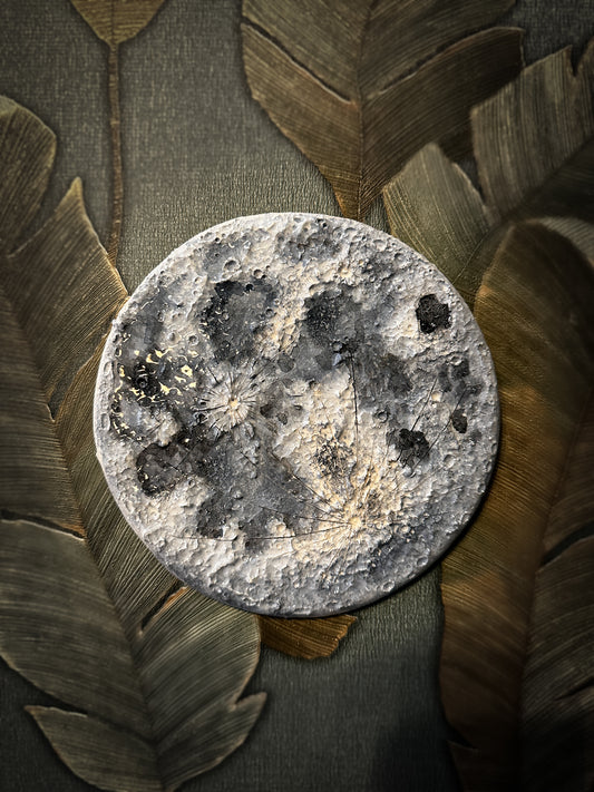 Luna Blu 2026 | IV Media