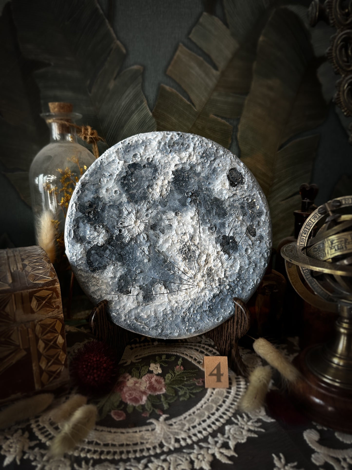 Luna Blu 2026 | IV Media