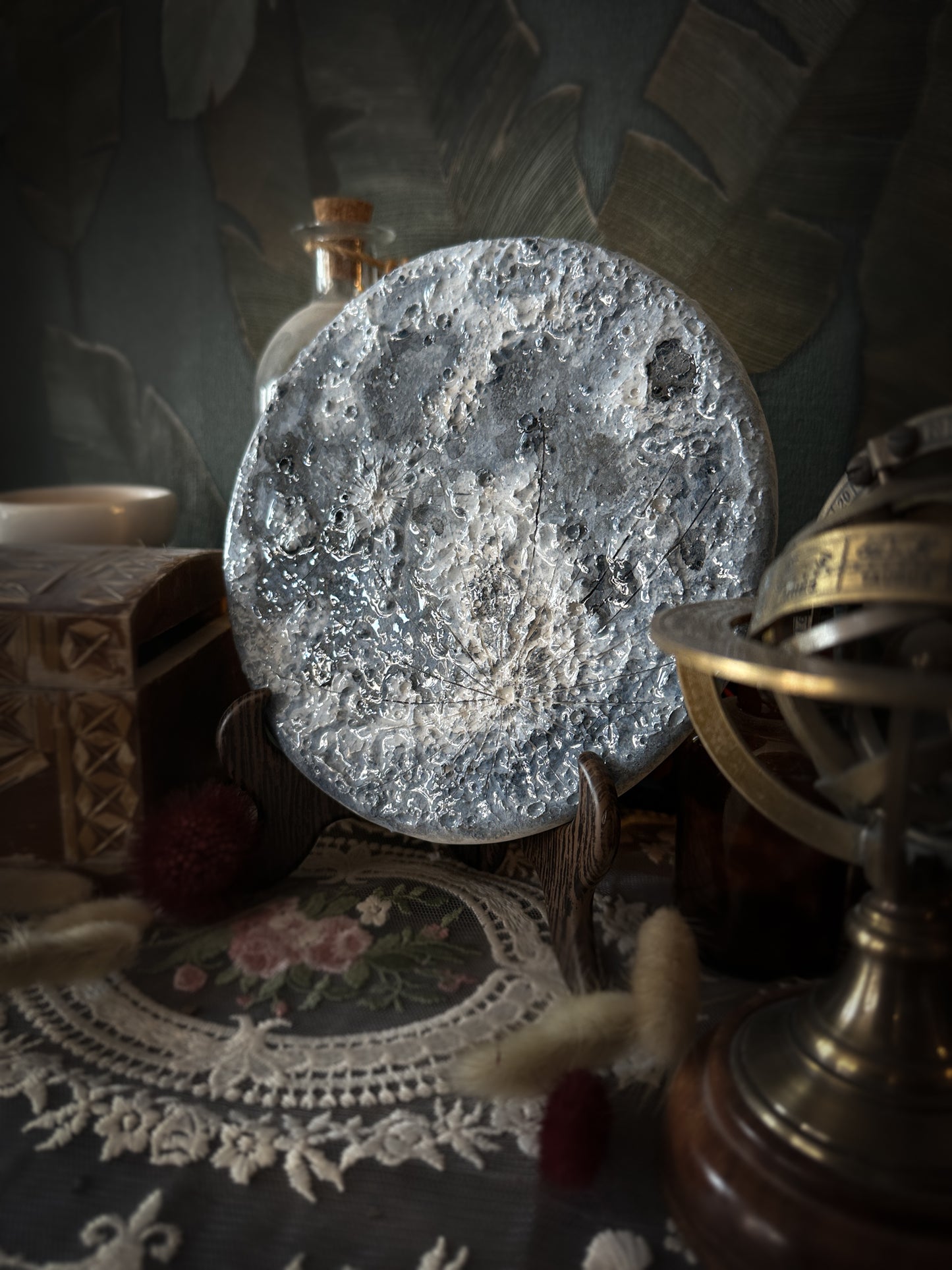 Luna Blu 2026 | IV Media