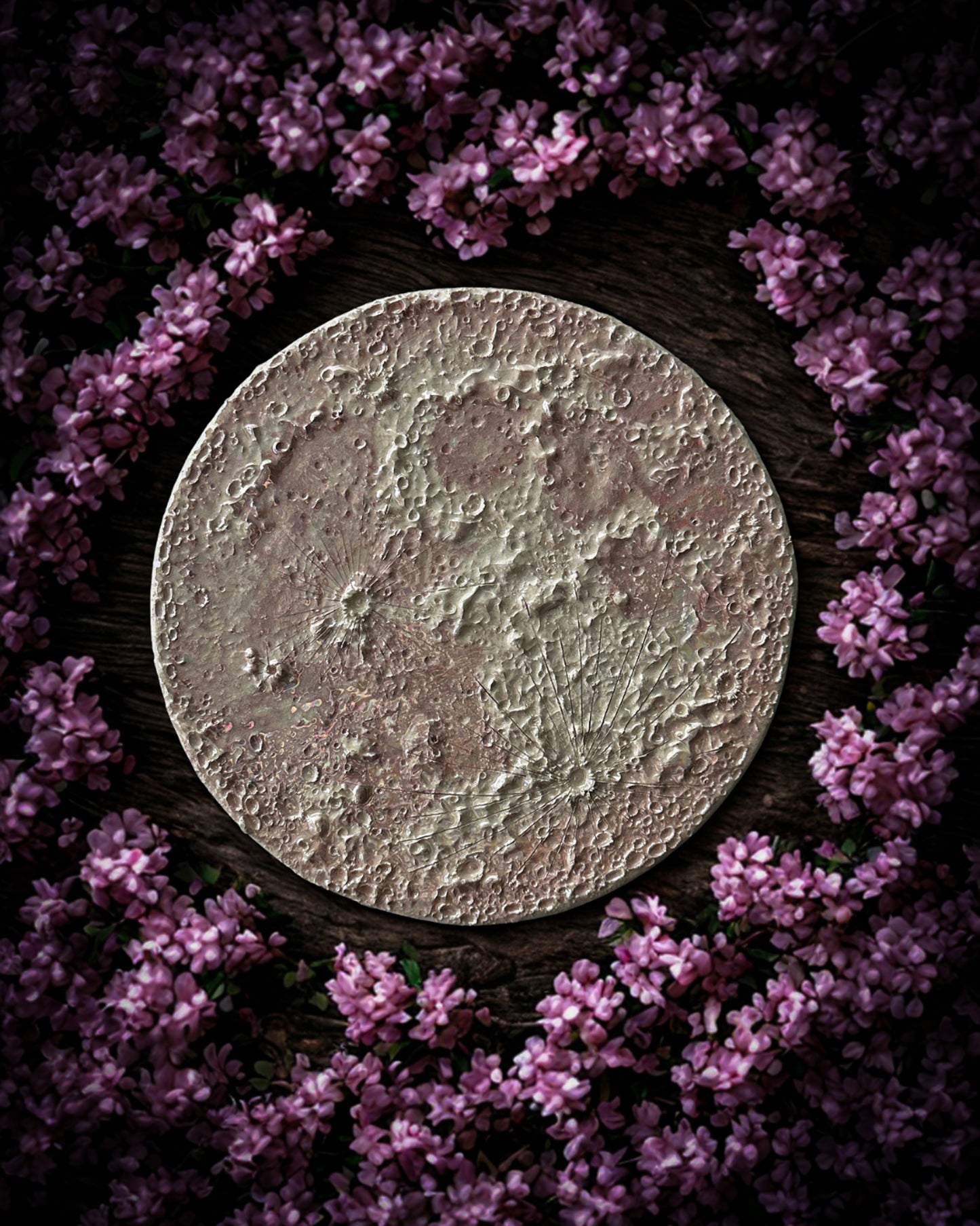 Luna Rosa 2026 – IV Grande