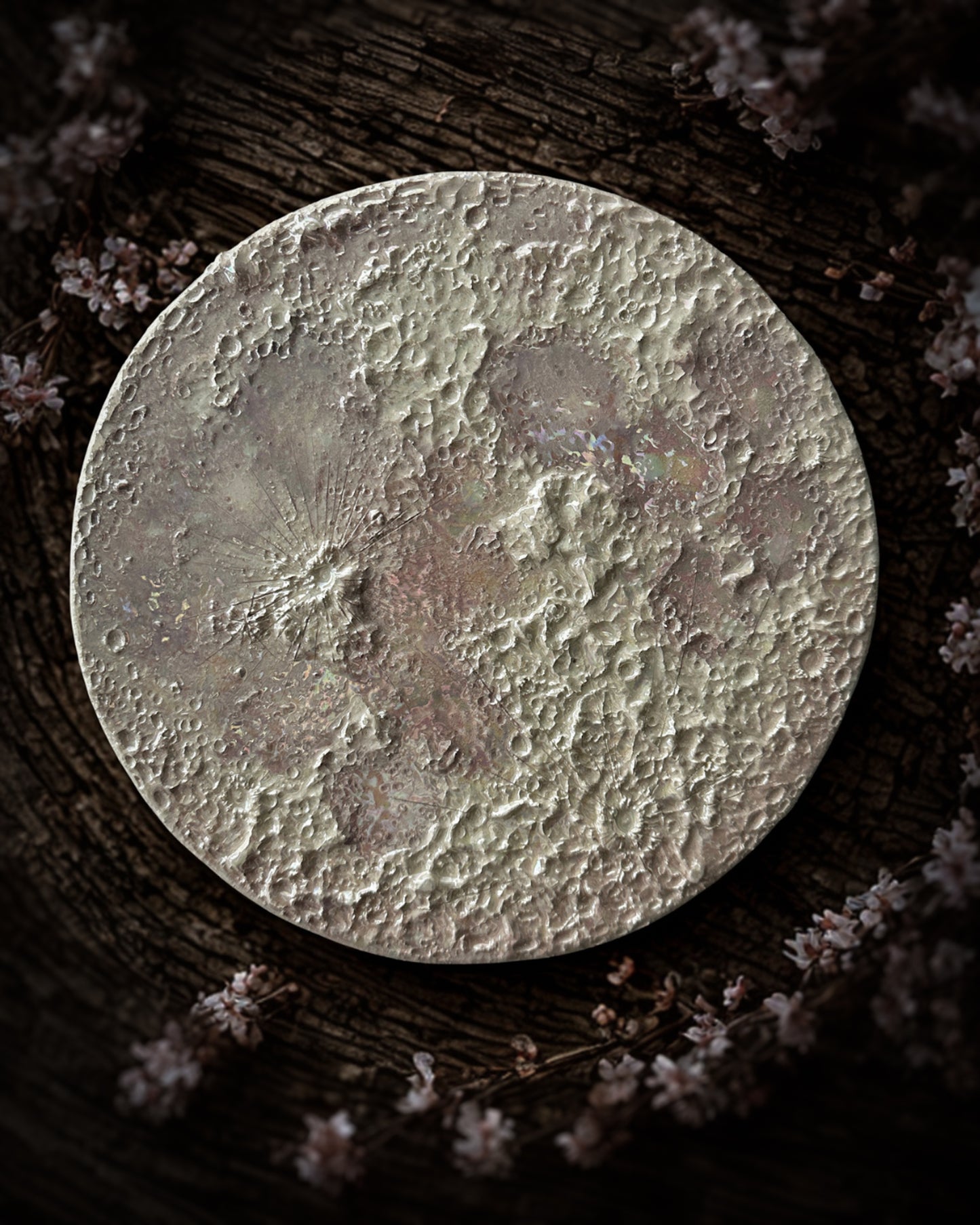 Luna Rosa 2026 – V Grande