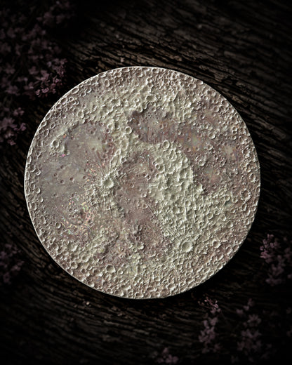Luna Rosa 2026 – VI Grande