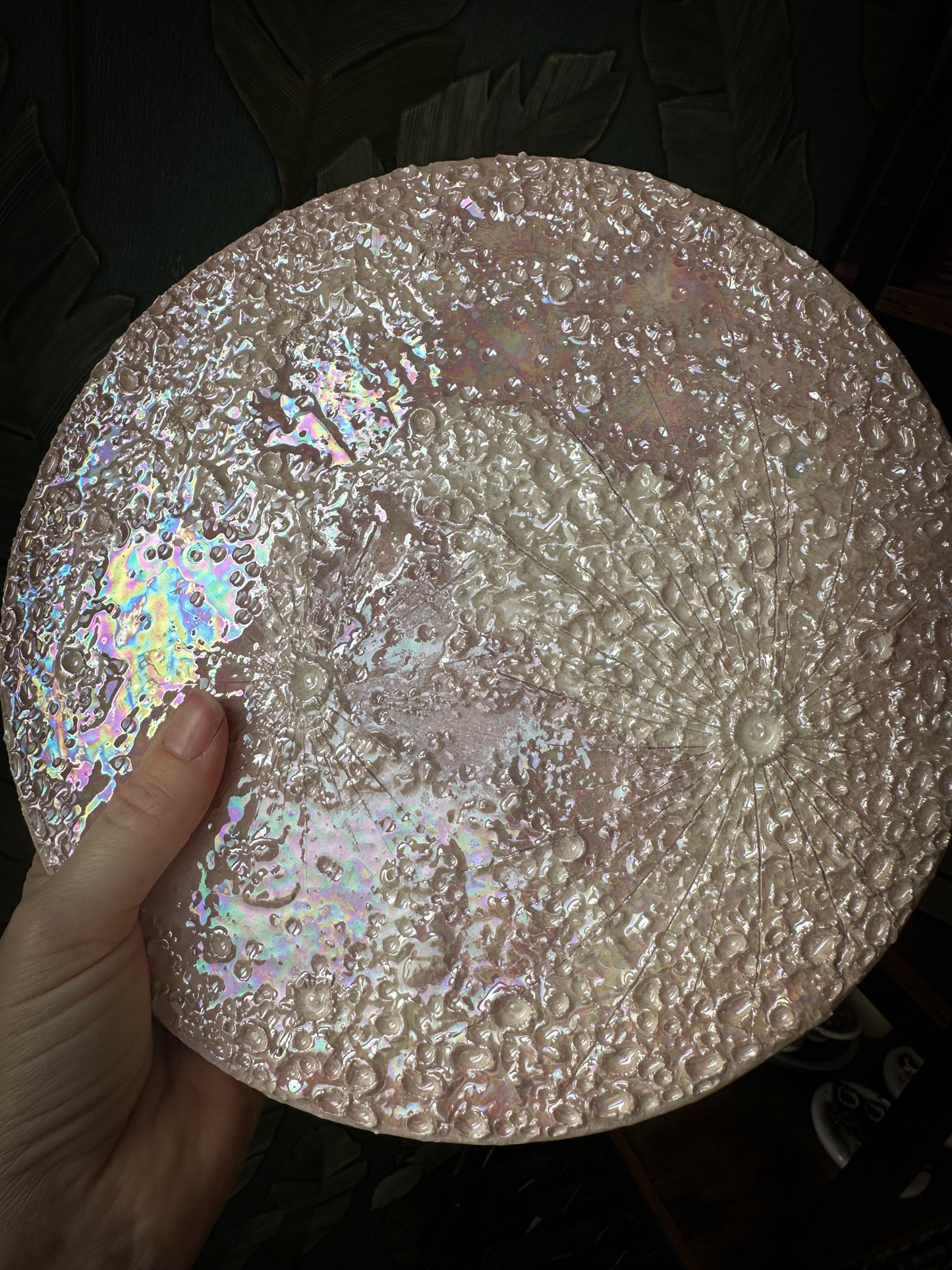 Luna Rosa 2026 – VI Grande