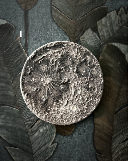 Luna Classica – Media