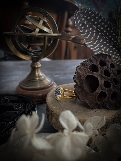 Gold Elegance Moon | Anello Luna in Porcellana
