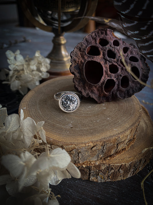 Platinum Elegance Moon | Anello Luna in Porcellana