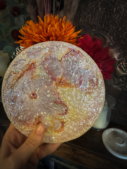 Luna dei Fiori 2026 | II Media
