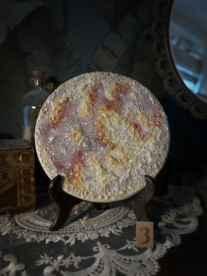 Luna dei Fiori 2026 | III Media