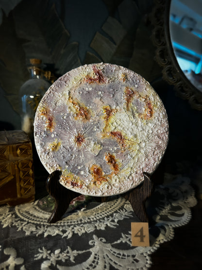 Luna dei Fiori 2026 | IV Media