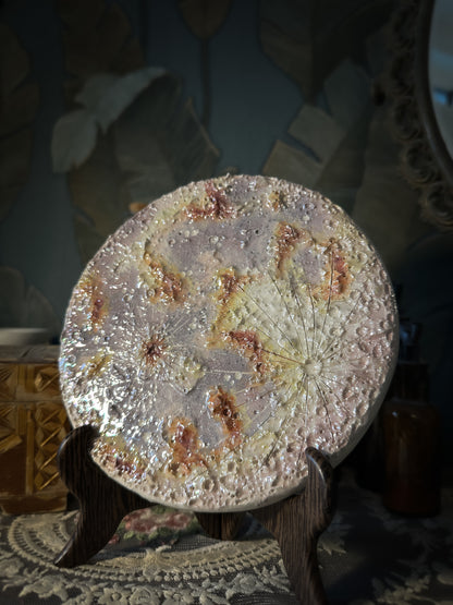 Luna dei Fiori 2026 | IV Media