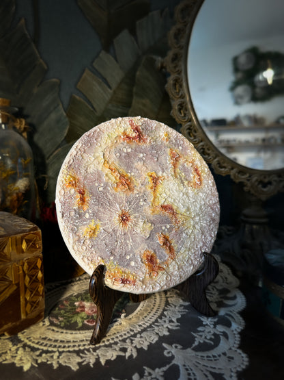 Luna dei Fiori 2026 | IV Media