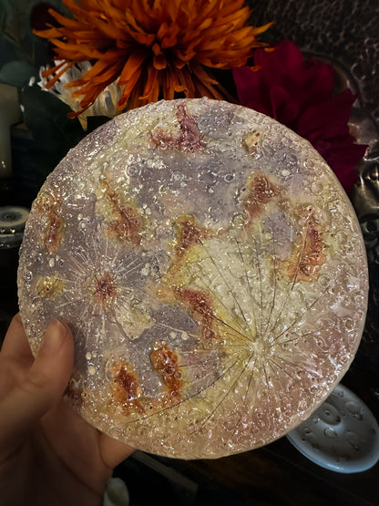 Luna dei Fiori 2026 | IV Media