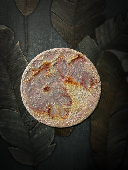 Luna dei Fiori 2026 | II Media
