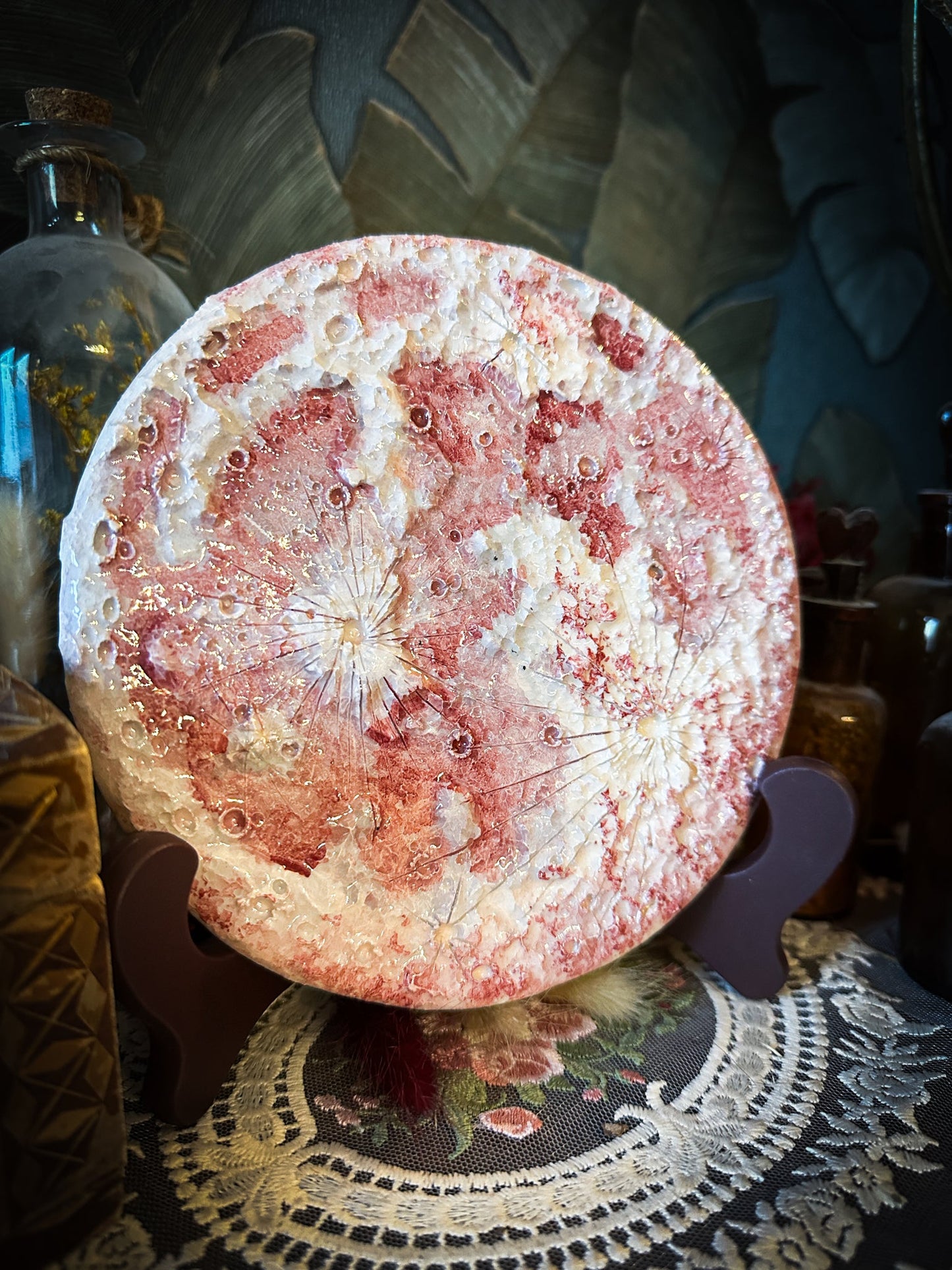 Luna delle Fragole 2026 | IV Media