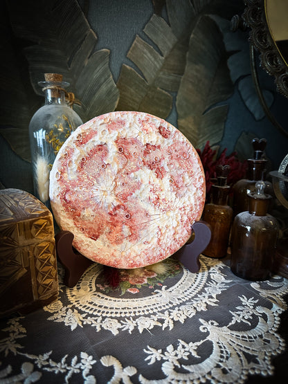 Luna delle Fragole 2026 | IV Media  | Limited Edition