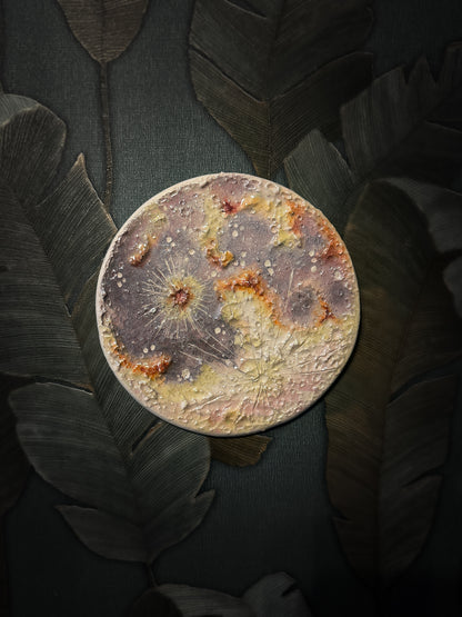 Luna dei Fiori 2026 | I Media