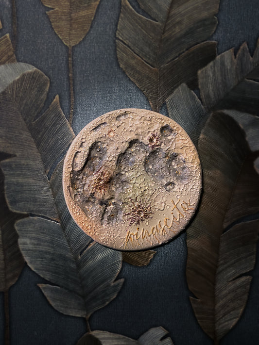 Luna della Rinascita 2026 - V