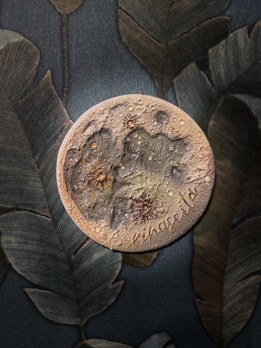 Luna della Rinascita 2026 - I