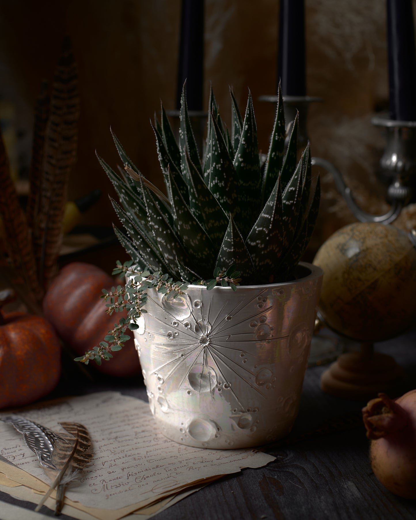 vaso in ceramica lunare con pianta grassa